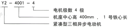 YR系列(H355-1000)高壓三相異步電機(jī)西安西瑪電機(jī)型號說明