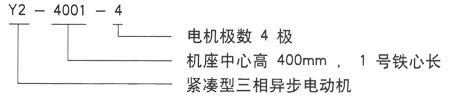 Y2系列三相異步電機技術參數(shù)——西安泰富西瑪電機（西安西瑪電機集團股份有限公司）官方網站