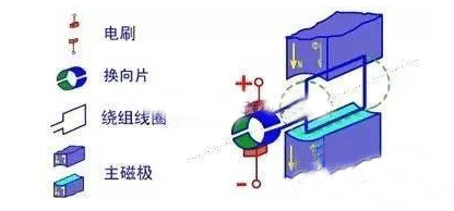 電機(jī)的結(jié)構(gòu)詳解——西安泰富西瑪電機(jī)（西安西瑪電機(jī)集團(tuán)股份有限公司）官方網(wǎng)站